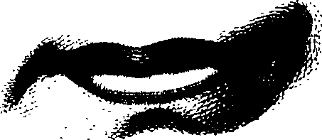 083/083600010304730_0.png
