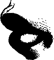 083/083600010304740_0.png