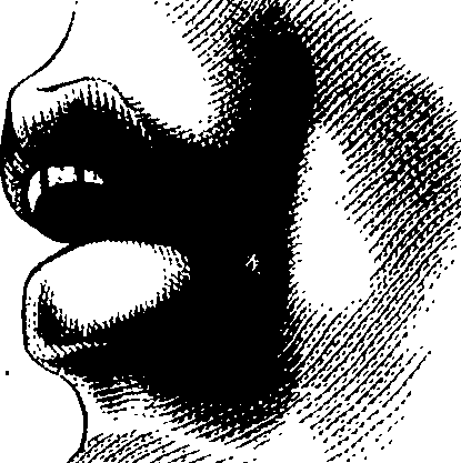 083/083600010304740_1.png