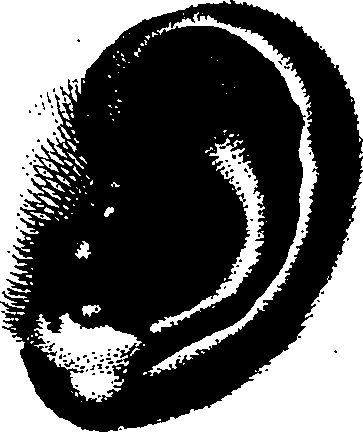 083/083600010304910_0.png