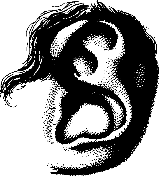 083/083600010304910_1.png