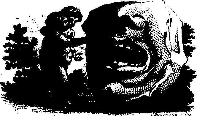 083/083600010304990_0.png