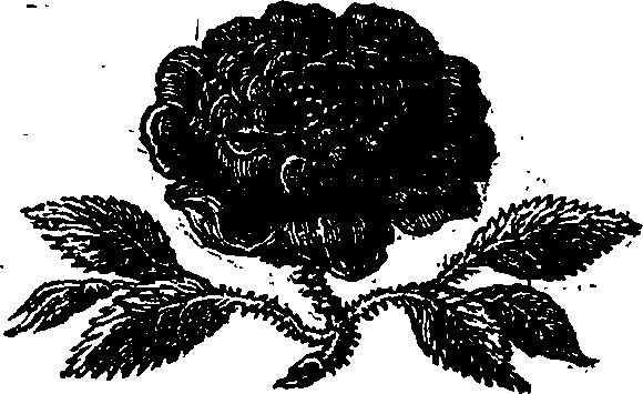 083/083680020000010_0.png