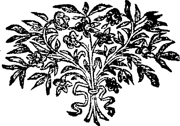 083/083800010103510_0.png