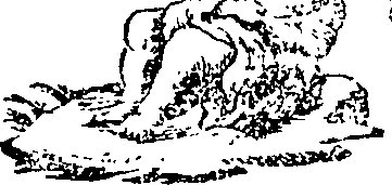 083/083800010104790_0.png