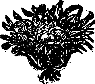 083/083800010402540_0.png
