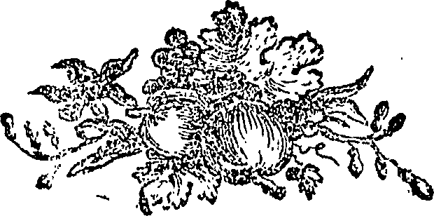 083/083810010502430_0.png