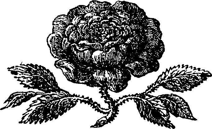 083/083820020000030_0.png