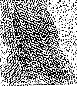 083/083950010102020_1.png