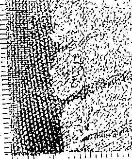 083/083950010102020_2.png