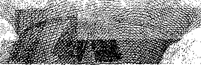 083/083950010200010_1.png