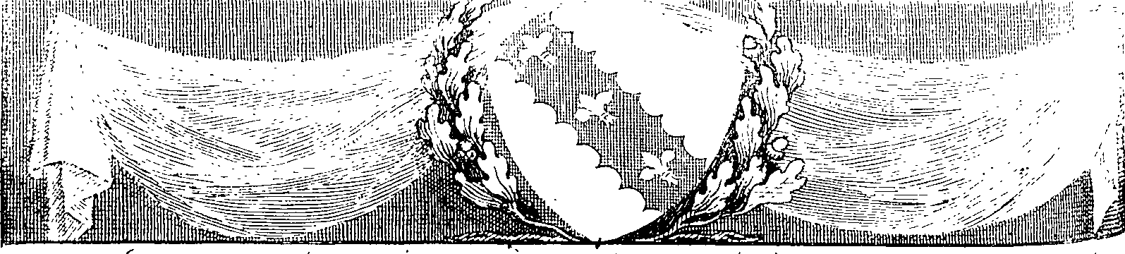 083/083950010204610_0.png