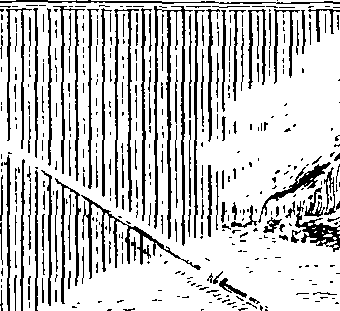 083/083950010300010_1.png