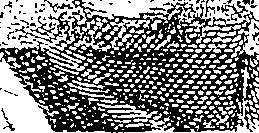 083/083950010300010_2.png