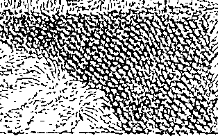 083/083950010301980_0.png