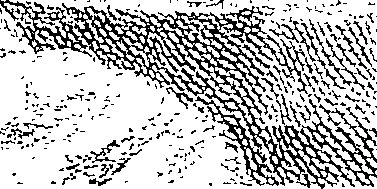 083/083950010302000_0.png