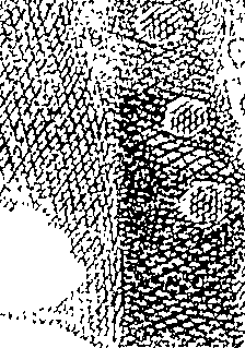 083/083950010304860_1.png