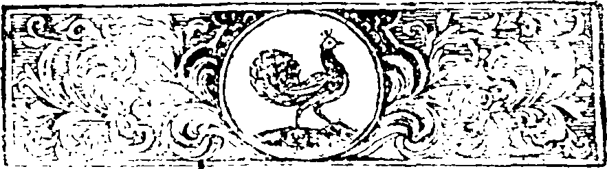 084/084000030000030_1.png