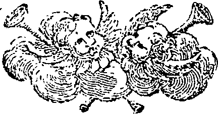 084/084300050001360_0.png