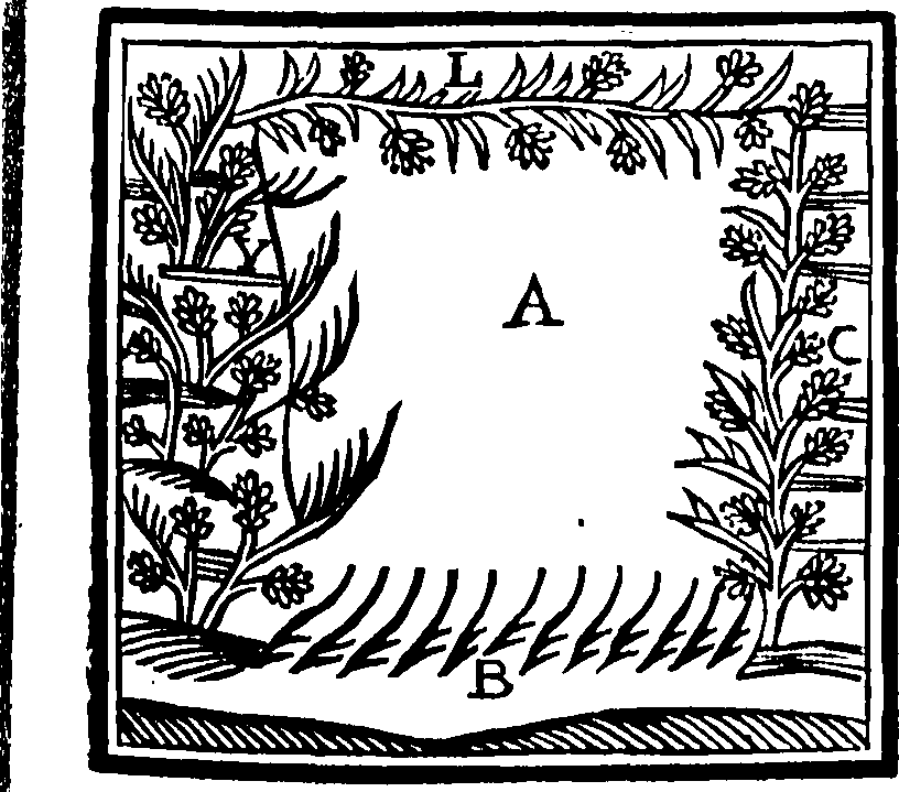 084/084350010101100_0.png
