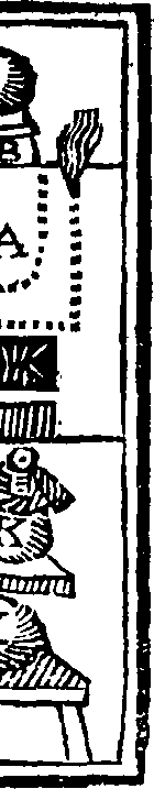 084/084350010102990_1.png