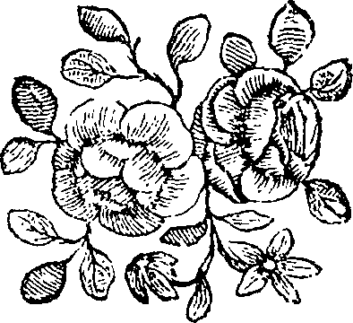 084/084460010200640_1.png