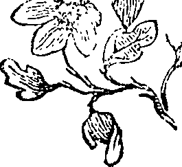 084/084460010204000_1.png
