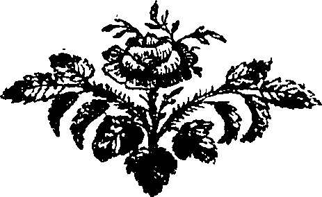 084/084460010300060_0.png