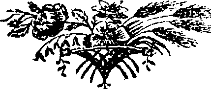 084/084460010303110_1.png
