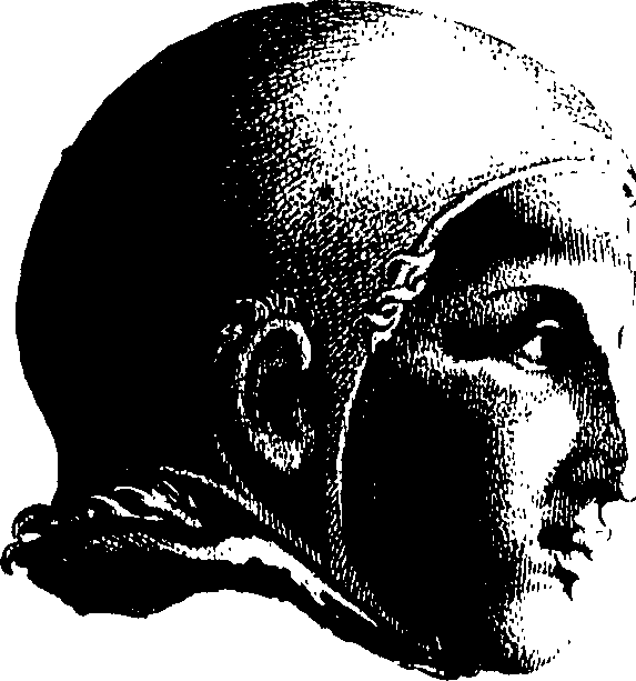 084/084520020101050_0.png
