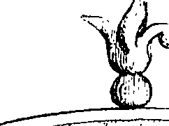 084/084520020102340_2.png