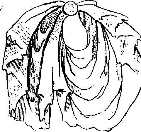 084/084520020102370_0.png