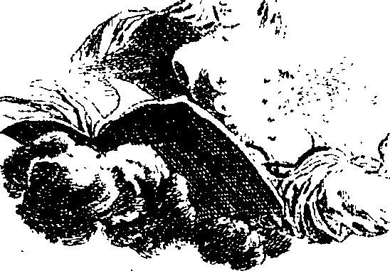 084/084710010100020_0.png