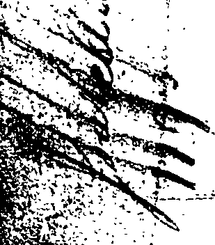 084/084720030002620_0.png