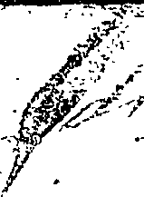 084/084740070000020_0.png