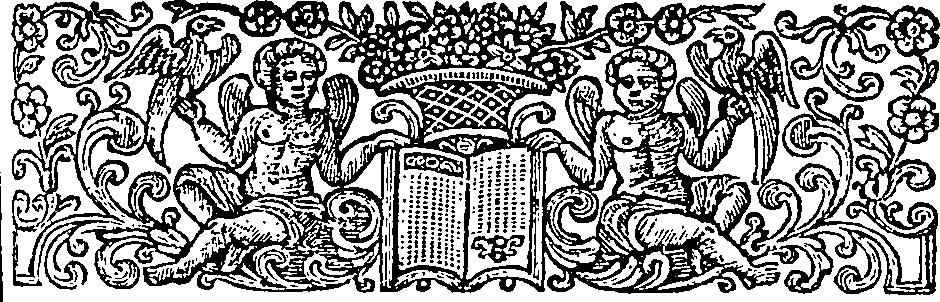 084/084800030002020_1.png
