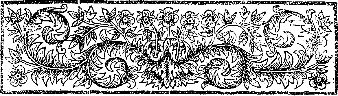 084/084800050000020_1.png