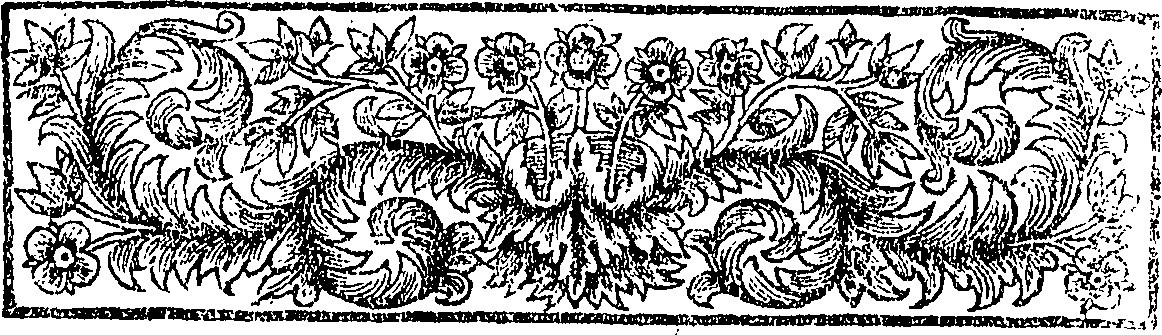 084/084800050003590_1.png