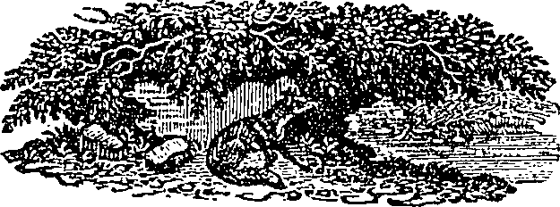 084/084950020000010_0.png