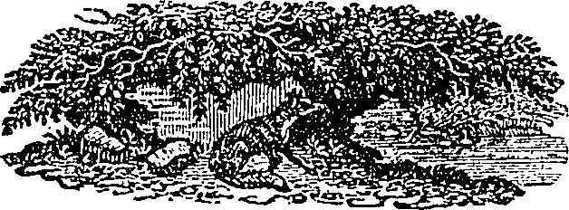 084/084950020000020_0.png