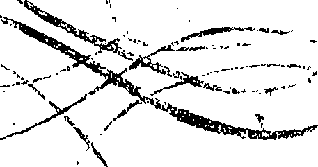 084/084960010000020_0.png