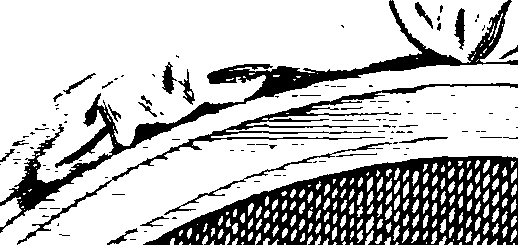 084/084970010000010_0.png