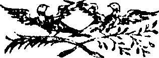 084/084990050000010_0.png