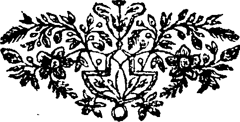 085/085000030000650_0.png