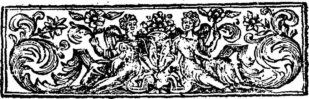 085/085000060000360_1.png