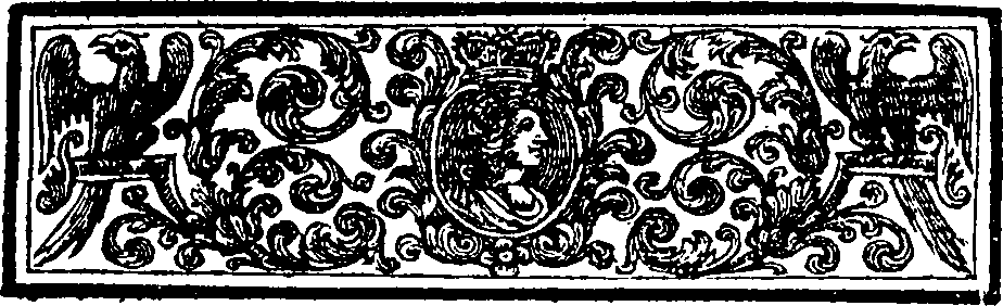 085/085000060000560_1.png