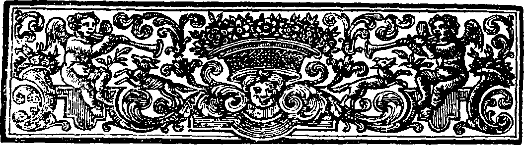 085/085000060000770_1.png