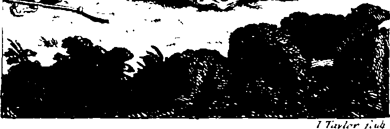 085/085020060000330_0.png