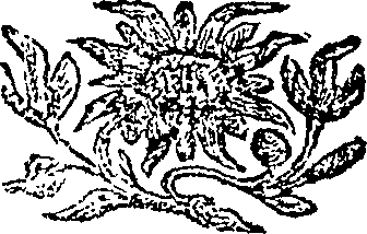 085/085060050000440_0.png