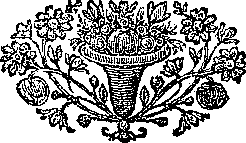 085/085060050000480_0.png